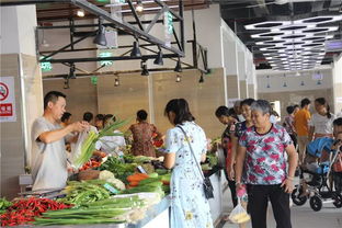 创国卫进行时 市卫生计生综合监督执法局 章贡区 经开区工作集锦