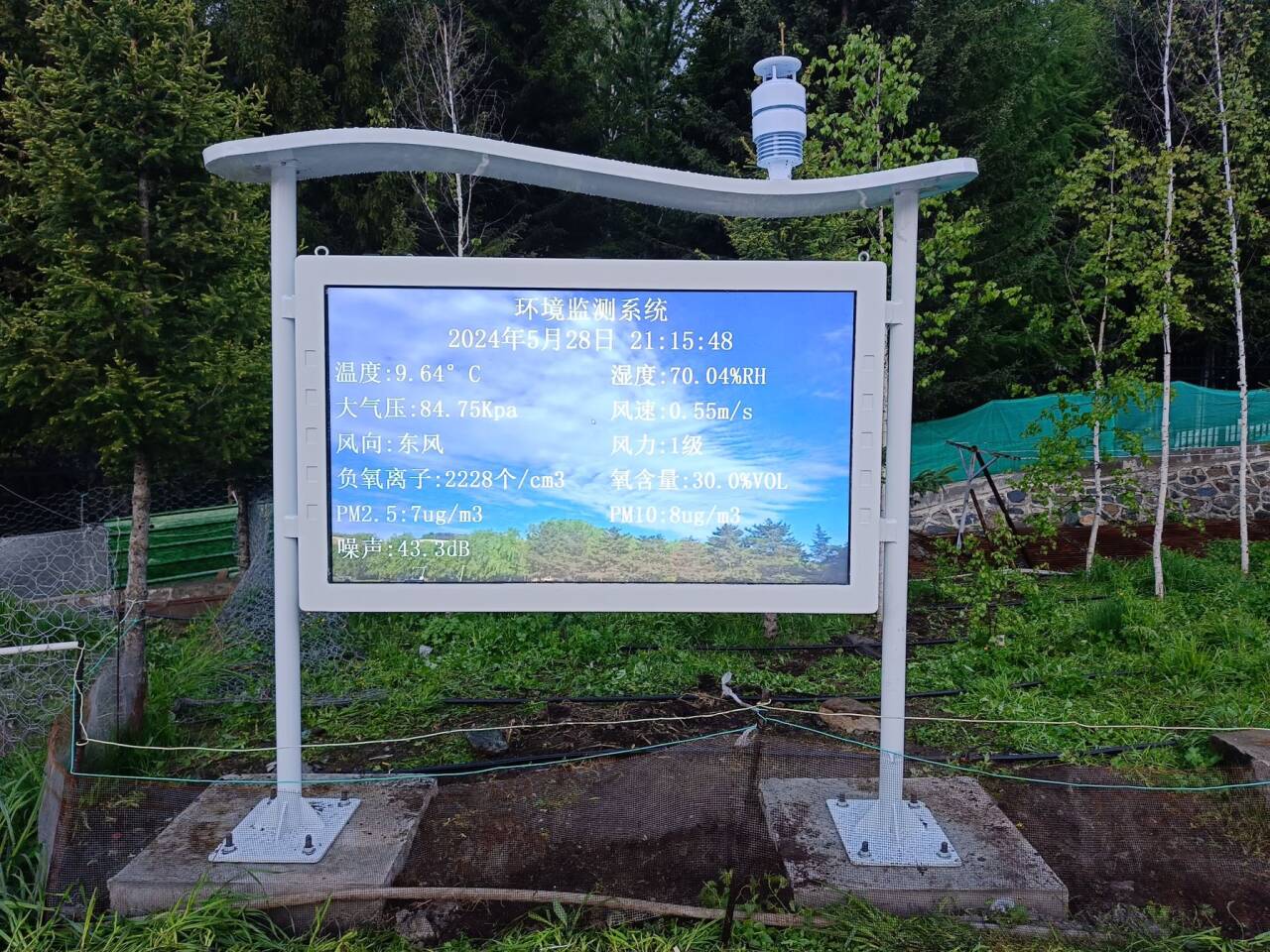 新疆阿勒泰（tài）阿爾泰山國有森林局高智能負氧離子 (1).jpg